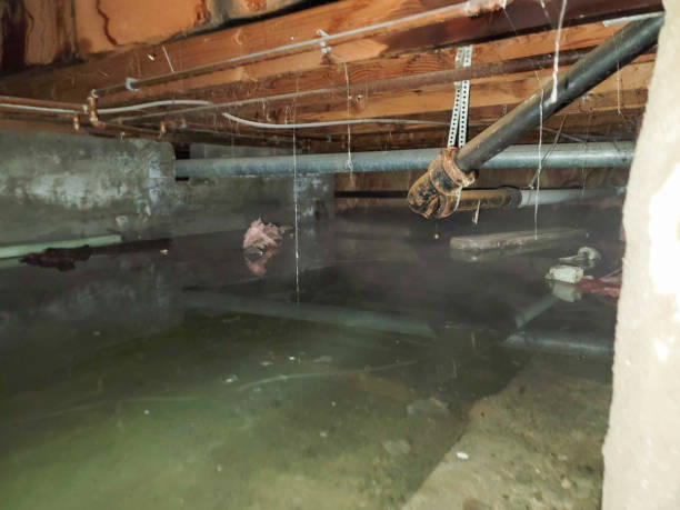 Best 24-hour water damage restoration  in Bostonia, CA