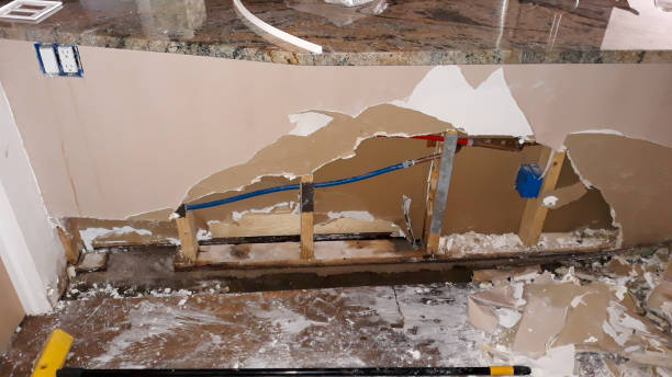 Best Basement water damage restoration  in Bostonia, CA