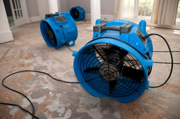 Best Sewage cleanup and water damage restoration  in Bostonia, CA