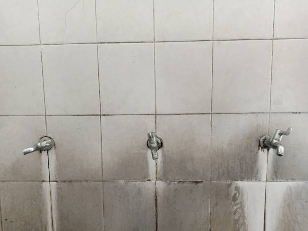Carpet water damage restoration in Bostonia, CA