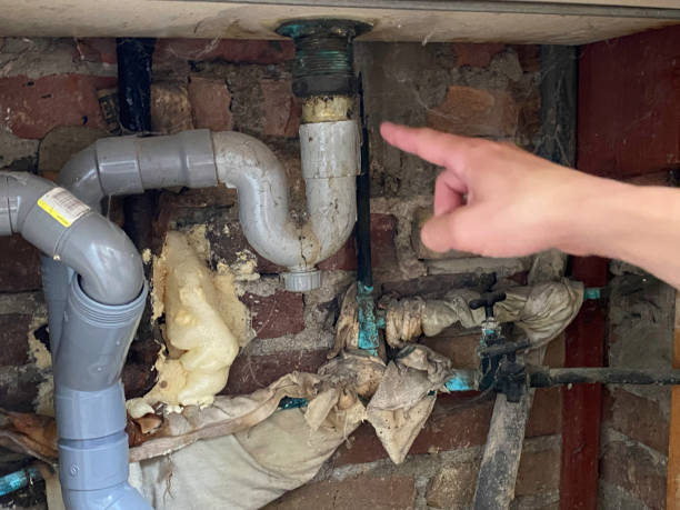  Bostonia, CA Water damage restoration Pros