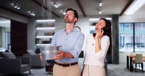 Best 24/7 water damage repair  in Bostonia, CA