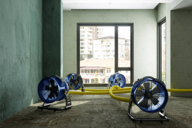 Best Sewage cleanup and water damage restoration  in Bostonia, CA